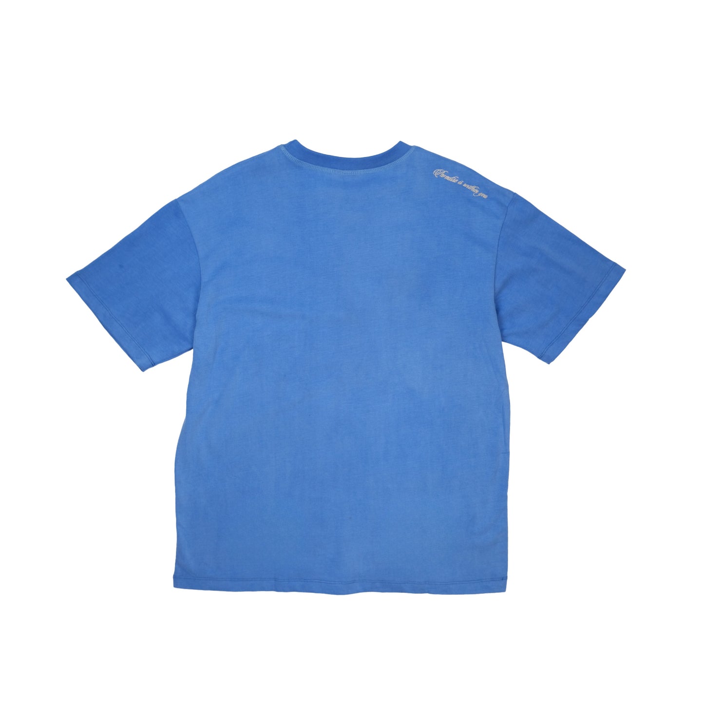 Paradise Within You | Washed Blue | Embroidered T