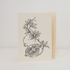 Greeting Card- Pomagranade