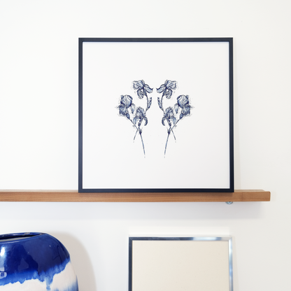 Blue Irises Framed