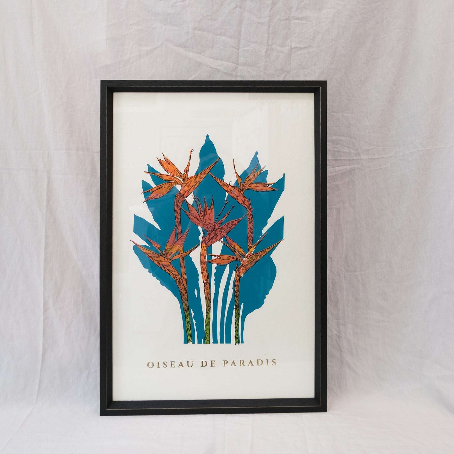 Oiseau screen print -Framed