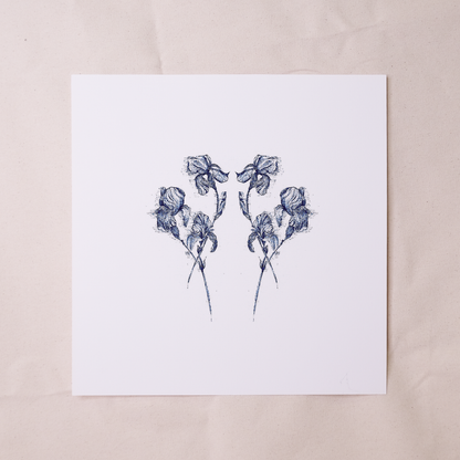 Blue Irises Framed