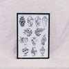 Framed Vases Print | A4 in Black