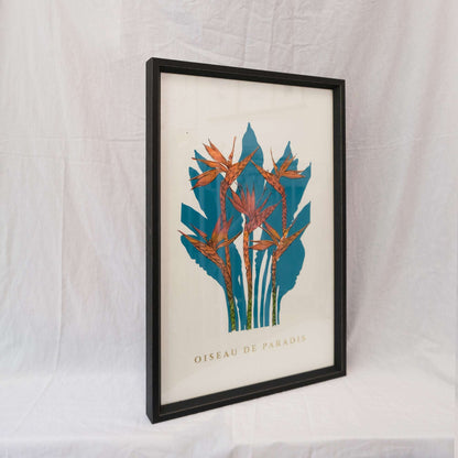 Oiseau screen print -Framed